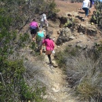 Volkswalking on Catalina Island