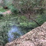 Lower Arroyo Seco Trail S. Pasadena Pond