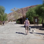 Volkswalking at Calico Ghost Town